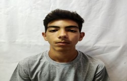 یاشار پاشاپور