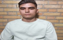 محمدرضا ستاری