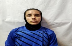 ستایش پولایی
