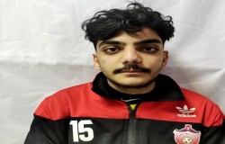 پارسا مریدی