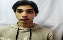 محمدرضا کرمی