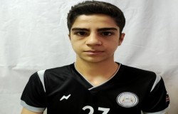 حامد ثقفی