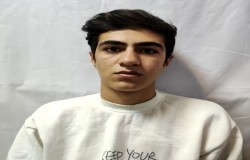 محمدمهدی مهدوی