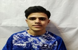 مهدی امامی نیر