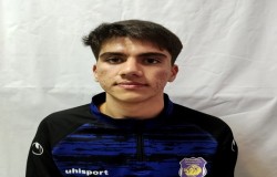 پارسا شریفی