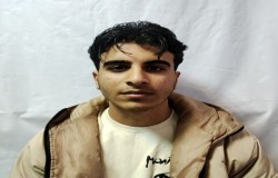 پارسا گلستانی