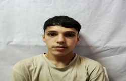 حامد شریفی