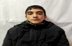 شایان گودرزی