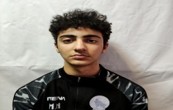 آریا محمدی مقدم