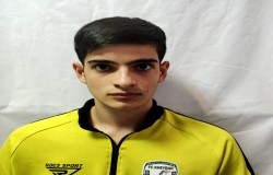 آرتین خجسته
