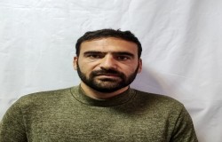 رضا فولادوند