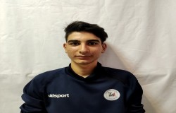 محسن افسری