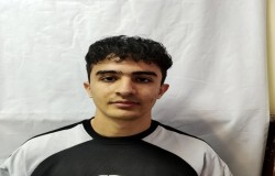 پارسا شالی