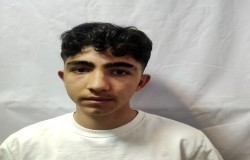 طاها سلمانیها