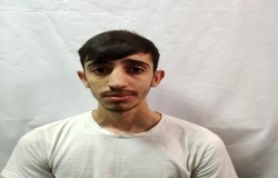 مانی نیکی ملکی
