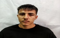 رضا ممشای