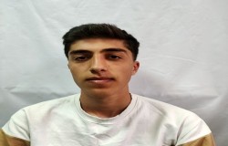 میثم طعنه