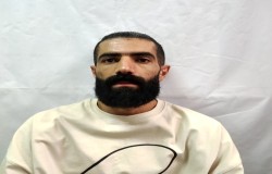 مهدی اسدی