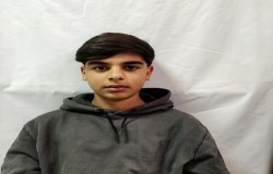 ایلیا دارابی
