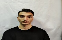 باربد هژبری