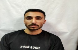 رضا سیفی