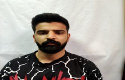 پوریا بیات