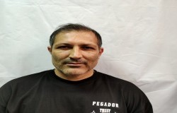 جعفر محمدی وصف کو