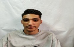 آراد رفیعی