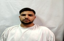 علی آشنادوست