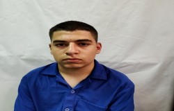 علیرضا تلم خانی