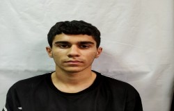مبین عابدی نسل