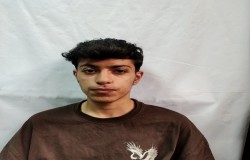 مصطفی خانی