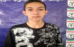 محمدحسین چمیزی