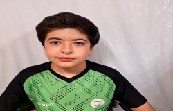 آرمین حفیضی