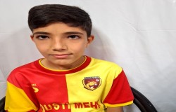 آریوبرزن امینی