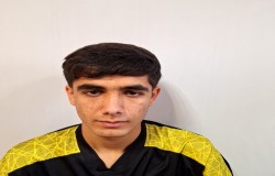 علیرضا محمدی