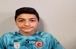 ماهان ضامنی