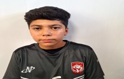 حافظ بلبلی
