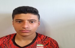 محمدکسری بصیری تبار