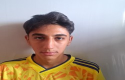 محمدحسام پیرائی