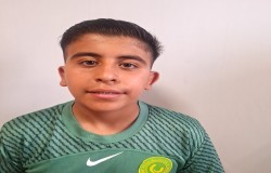 سید امیر علی صفاوردیان