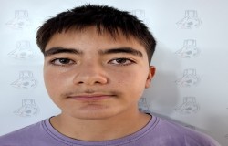پویان نوری