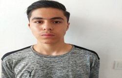 آرین بهمنی