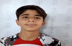 علی عاملی