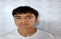 پوریا فیضی