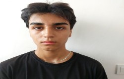 محمد ذولفقاری