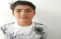 محمدرضا محبی
