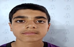 علیرضا قلجلو