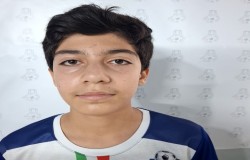 شایان گودرزی