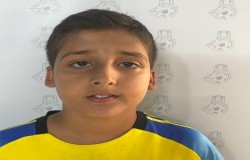 محمد جواد تفکری